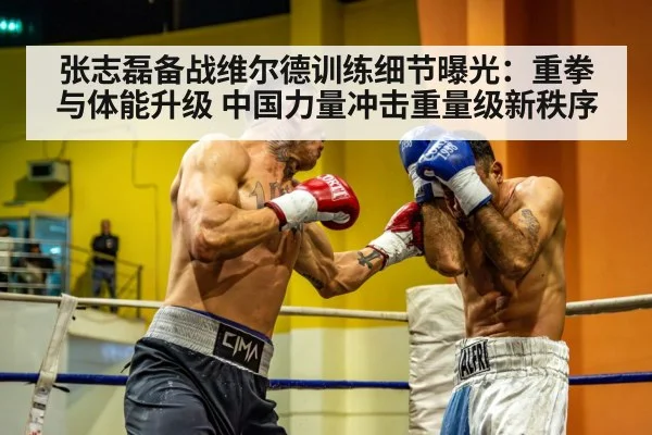 张志磊备战维尔德训练细节曝光:重拳与体能升级 中国力量冲击重量级新秩序